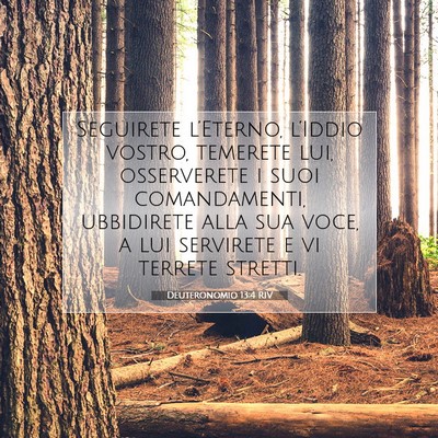 Picture 07 - Deuteronomio 13:4 RIV - Seguirete l’Eterno, l’Iddio vostro, temerete - Bible Verse Picture