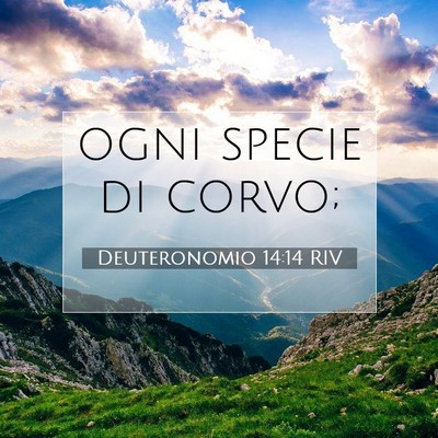 Picture 07 - Deuteronomio 14:14 RIV - ogni specie di - Bible Verse Picture
