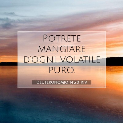Picture 07 - Deuteronomio 14:20 RIV - Potrete mangiare d’ogni volatile - Bible Verse Picture