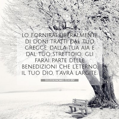 Picture 07 - Deuteronomio 15:14 RIV - lo fornirai liberalmente di doni tratti dal tuo - Bible Verse Picture