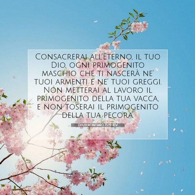 Picture 07 - Deuteronomio 15:19 RIV - Consacrerai all’Eterno, il tuo Dio, ogni - Bible Verse Picture