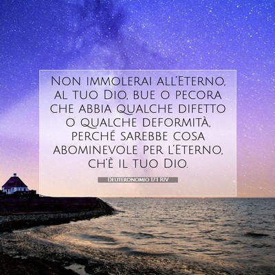 Picture 07 - Deuteronomio 17:1 RIV - Non immolerai all’Eterno, al tuo Dio, bue o - Bible Verse Picture