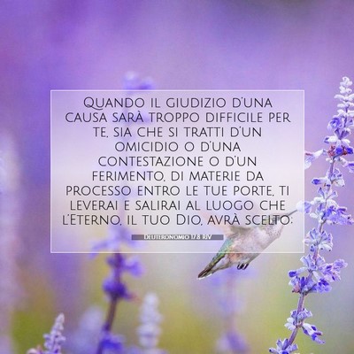 Picture 07 - Deuteronomio 17:8 RIV - Quando il giudizio d’una causa sarà troppo - Bible Verse Picture