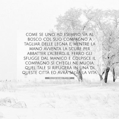 Picture 07 - Deuteronomio 19:5 RIV - come se uno, ad esempio, va al bosco col suo - Bible Verse Picture