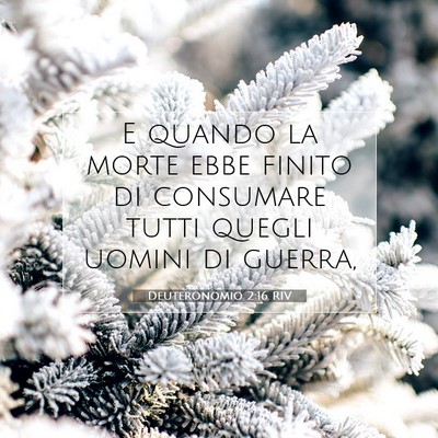 Picture 07 - Deuteronomio 2:16 RIV - E quando la morte ebbe finito di consumare tutti - Bible Verse Picture
