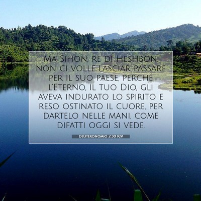 Picture 07 - Deuteronomio 2:30 RIV - Ma Sihon, re di Heshbon, non ci volle lasciar - Bible Verse Picture