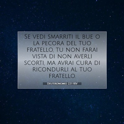 Picture 07 - Deuteronomio 22:1 RIV - Se vedi smarriti il bue o la pecora del tuo - Bible Verse Picture