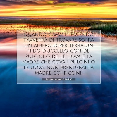 Picture 07 - Deuteronomio 22:6 RIV - Quando, cammin facendo, t’avverrà di trovare - Bible Verse Picture