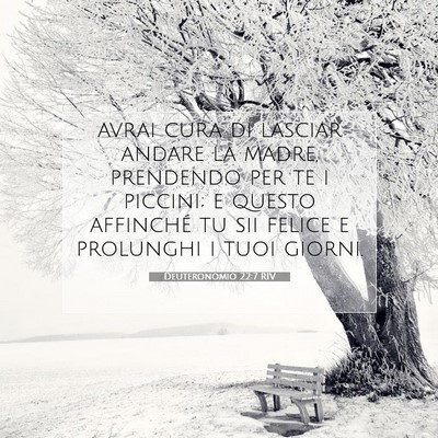 Picture 07 - Deuteronomio 22:7 RIV - avrai cura di lasciar andare la madre, prendendo - Bible Verse Picture