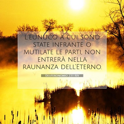Picture 07 - Deuteronomio 23:1 RIV - L’eunuco a cui sono state infrante o mutilate - Bible Verse Picture