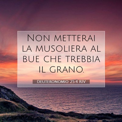 Picture 07 - Deuteronomio 25:4 RIV - Non metterai la musoliera al bue che trebbia il - Bible Verse Picture