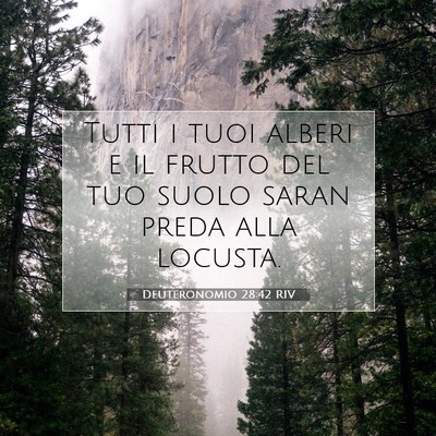Picture 07 - Deuteronomio 28:42 RIV - Tutti i tuoi alberi e il frutto del tuo suolo - Bible Verse Picture