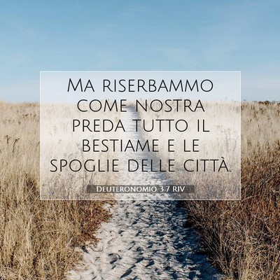 Picture 07 - Deuteronomio 3:7 RIV - Ma riserbammo come nostra preda tutto il bestiame - Bible Verse Picture