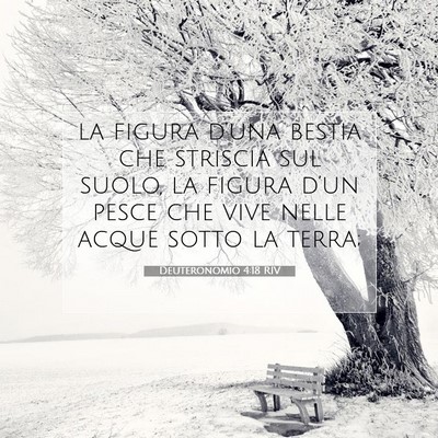 Picture 07 - Deuteronomio 4:18 RIV - la figura d’una bestia che striscia sul suolo, - Bible Verse Picture