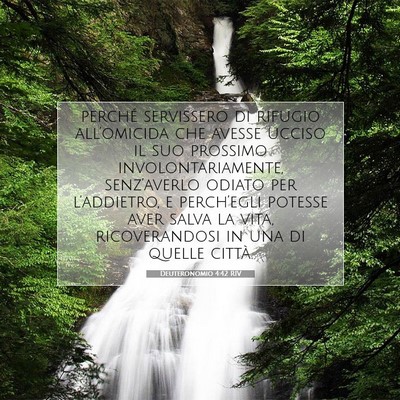 Picture 07 - Deuteronomio 4:42 RIV - perché servissero di rifugio all’omicida che - Bible Verse Picture