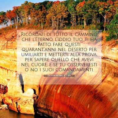 Picture 07 - Deuteronomio 8:2 RIV - Ricordati di tutto il cammino che l’Eterno, - Bible Verse Picture