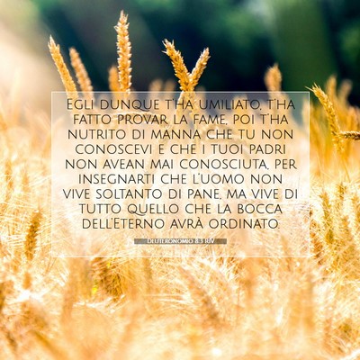 Picture 07 - Deuteronomio 8:3 RIV - Egli dunque t’ha umiliato, t’ha fatto provar - Bible Verse Picture