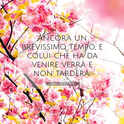 Picture 07 - Ebrei 10:37 RIV - Ancora un brevissimo tempo, e colui che ha da - Bible Verse Picture