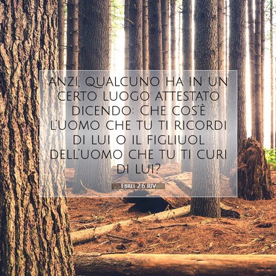 Picture 07 - Ebrei 2:6 RIV - anzi, qualcuno ha in un certo luogo attestato - Bible Verse Picture