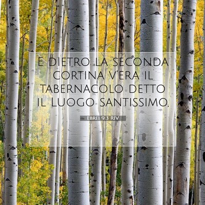 Picture 07 - Ebrei 9:3 RIV - E dietro la seconda cortina v’era il - Bible Verse Picture