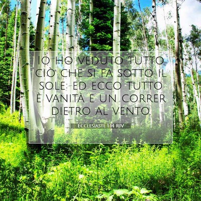 Picture 07 - Ecclesiaste 1:14 RIV - Io ho veduto tutto ciò che si fa sotto il sole: - Bible Verse Picture