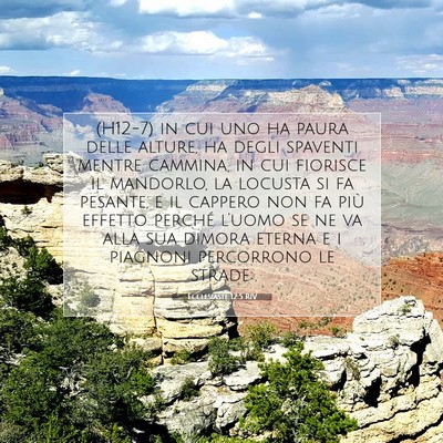 Picture 07 - Ecclesiaste 12:5 RIV - (H12-7) in cui uno ha paura delle alture, ha - Bible Verse Picture
