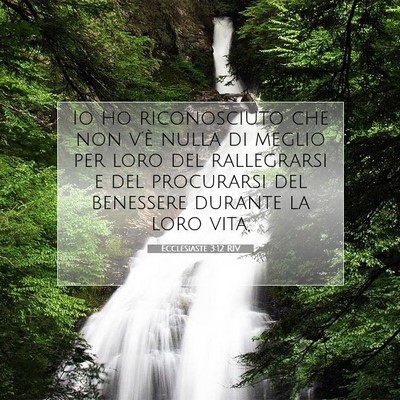 Picture 07 - Ecclesiaste 3:12 RIV - Io ho riconosciuto che non v’è nulla di meglio - Bible Verse Picture