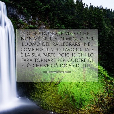 Picture 07 - Ecclesiaste 3:22 RIV - Io ho dunque visto che non v’è nulla di meglio - Bible Verse Picture