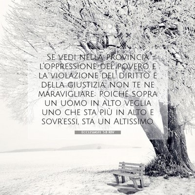 Picture 07 - Ecclesiaste 5:8 RIV - Se vedi nella provincia l’oppressione del - Bible Verse Picture