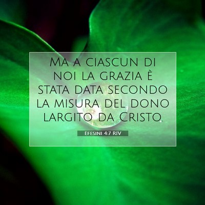 Picture 07 - Efesini 4:7 RIV - Ma a ciascun di noi la grazia è stata data - Bible Verse Picture