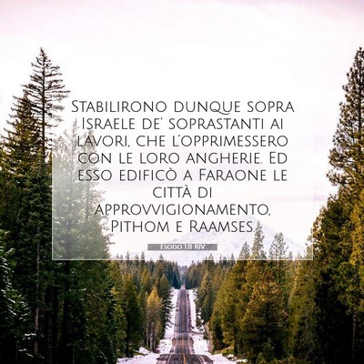 Picture 07 - Esodo 1:11 RIV - Stabilirono dunque sopra Israele de’ - Bible Verse Picture