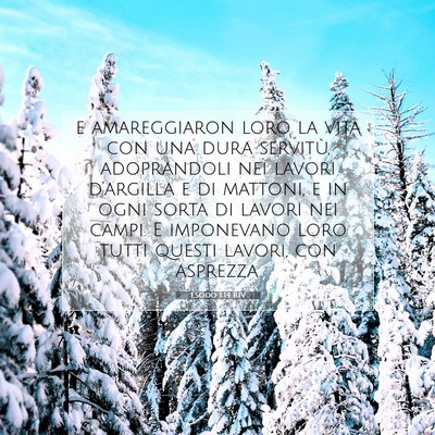 Picture 07 - Esodo 1:14 RIV - e amareggiaron loro la vita con una dura - Bible Verse Picture