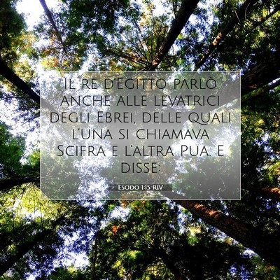 Picture 07 - Esodo 1:15 RIV - Il re d’Egitto parlò anche alle levatrici - Bible Verse Picture