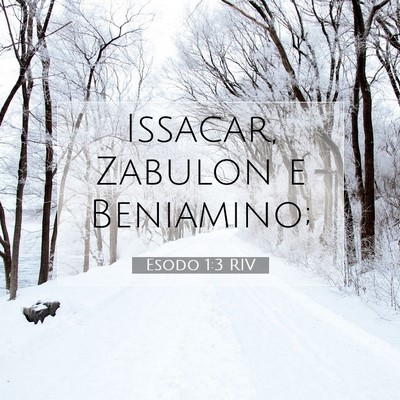Picture 07 - Esodo 1:3 RIV - Issacar, Zabulon e - Bible Verse Picture