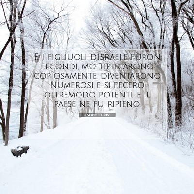 Picture 07 - Esodo 1:7 RIV - E i figliuoli d’Israele furon fecondi, - Bible Verse Picture