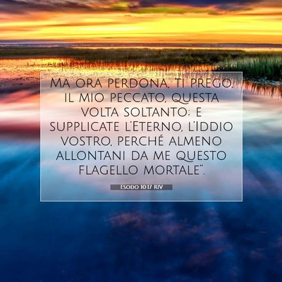 Picture 07 - Esodo 10:17 RIV - Ma ora perdona, ti prego, il mio peccato, questa - Bible Verse Picture