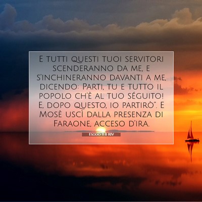 Picture 07 - Esodo 11:8 RIV - E tutti questi tuoi servitori scenderanno da me, - Bible Verse Picture