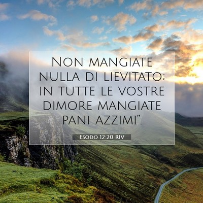Picture 07 - Esodo 12:20 RIV - Non mangiate nulla di lievitato; in tutte le - Bible Verse Picture