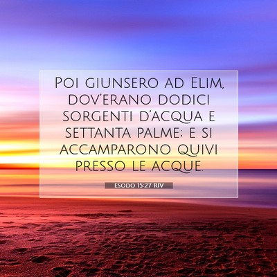 Picture 07 - Esodo 15:27 RIV - Poi giunsero ad Elim, dov’erano dodici sorgenti - Bible Verse Picture