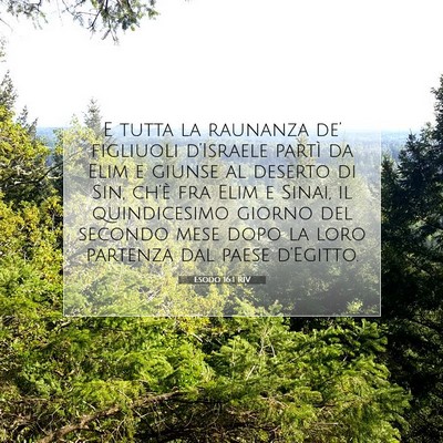 Picture 07 - Esodo 16:1 RIV - E tutta la raunanza de’ figliuoli d’Israele - Bible Verse Picture