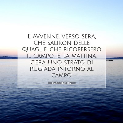 Picture 07 - Esodo 16:13 RIV - E avvenne, verso sera, che saliron delle quaglie, - Bible Verse Picture