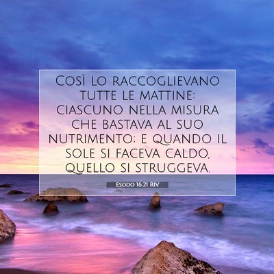 Picture 07 - Esodo 16:21 RIV - Così lo raccoglievano tutte le mattine: ciascuno - Bible Verse Picture