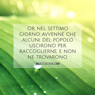 Picture 07 - Esodo 16:27 RIV - Or nel settimo giorno avvenne che alcuni del - Bible Verse Picture