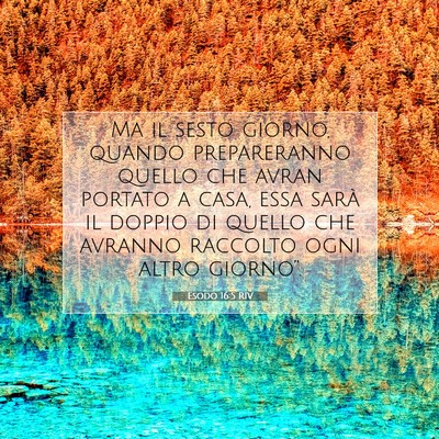 Picture 07 - Esodo 16:5 RIV - Ma il sesto giorno, quando prepareranno quello - Bible Verse Picture