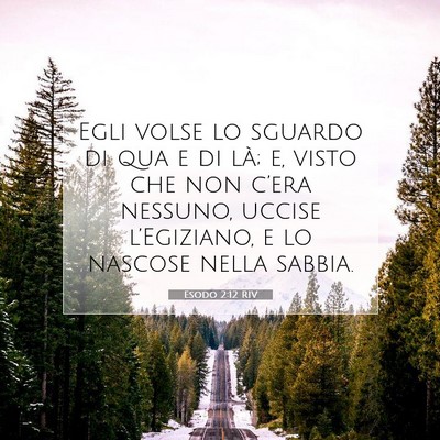 Picture 07 - Esodo 2:12 RIV - Egli volse lo sguardo di qua e di là; e, visto - Bible Verse Picture