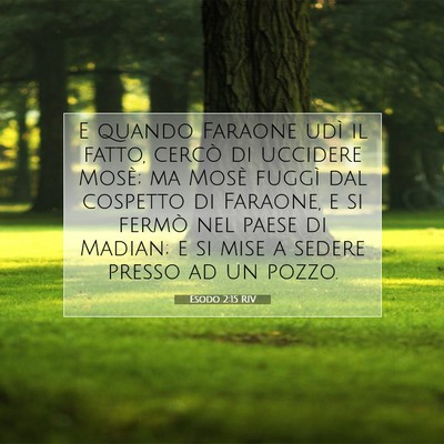 Picture 07 - Esodo 2:15 RIV - E quando Faraone udì il fatto, cercò di - Bible Verse Picture