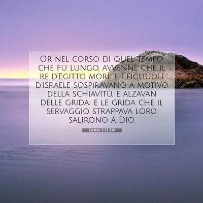 Picture 07 - Esodo 2:23 RIV - Or nel corso di quel tempo, che fu lungo, avvenne - Bible Verse Picture