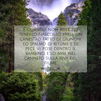 Picture 07 - Esodo 2:3 RIV - E quando non poté più tenerlo nascosto, prese - Bible Verse Picture