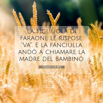 Picture 07 - Esodo 2:8 RIV - La figliuola di Faraone le rispose: “Va’”. - Bible Verse Picture