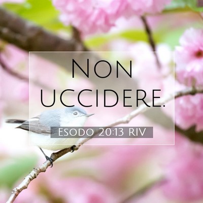 Picture 07 - Esodo 20:13 RIV - Non - Bible Verse Picture